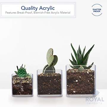 Royal Imports Flower Acrylic Vases Cubes, Decorative Centerpiece for Home or Wedding, Non Breakable Plastic, 4x4 - Clear