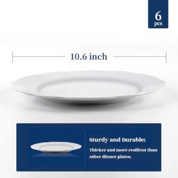 Stylish Y YHY Ceramic Dinner Plates Set - 10.6 Inch