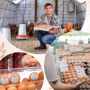 Sintuff 5 Pcs Farm Fresh Eggs for Sale Sign 12 x 16 Inch with Stakes 200 Pcs 2 x 3.5 Inch Fresh Farm Eggs Handling Instructions 200 Farm Fresh Eggs Carton Labels 2 Inch Egg Handling Stickers (Vintage)