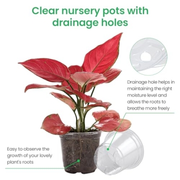 Bluepro 36 Clear Nursery Pots with Drainage Holes