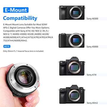 Neewer 35mm F1.7 Large Aperture Lens for Sony Cameras