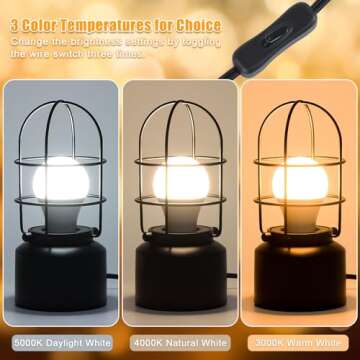 Haian Support Vintage Rustic Desk Lamp - Industrial Bedside Table Lamp for Nightstand - Antique Small Lamp with 3 Color Temperatures LED Bulb and Wire Switch