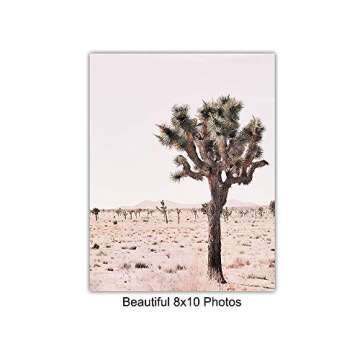 Desert Cactus Travel Photo Set - 8x10 Volkswagen Van Picture Posters - Gift for American West Photography Fans - Unframed Wall Art Prints