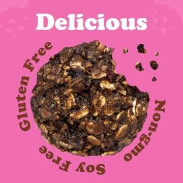 Alyssa's Chocobites Gluten Free Healthy Snacks 4 Pack