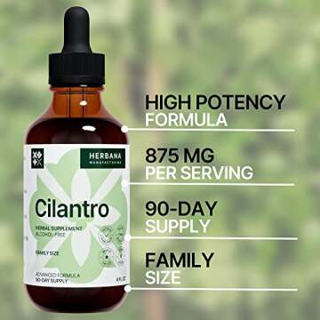Cilantro Leaf 4 fl oz Liquid Extract - Organic Coriandrum Sativum Drops for Body Cleansing & Detox - Natural Calming Herbal Tincture Supplement for Nervous System - High Potency - 90-Day Supply