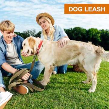 Heavy Duty Locking Carabiner Clips - 12KN Clips 3.2'' Small D Ring for Camping Hammock Hiking Dog Leashes Keys Keychains - Perfect for Outdoor Enthusiasts