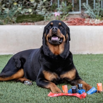 Best Pet Supplies Dog Poop Bags for Waste Cleanup