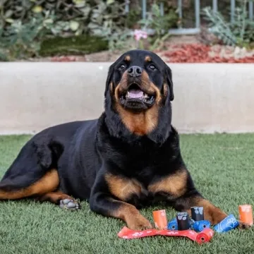 Best Pet Supplies Dog Poop Bags for Waste Cleanup