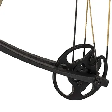 Bear Archery Limitless Compound Bow for Youth