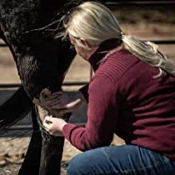 Natural Equine Poultice for Pain Relief and Recovery