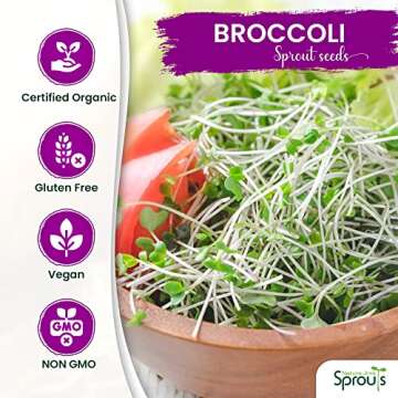 Organic Broccoli Sprout Seeds for Healthy Home Gardening