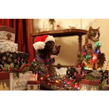 Lionet Paws Christmas Dog Cat Collar with Bowtie Adjustable