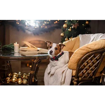 Lionet Paws Christmas Dog Cat Collar with Bowtie Adjustable