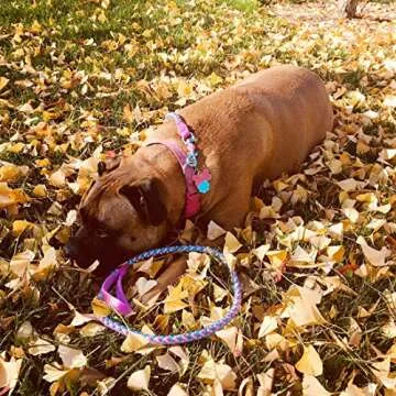 Mycicy Reflective Dog Leash, 2ft 3ft 4ft 6ft 10ft Braided Nylon Rope Heavy Duty Dog Training Leash for Large Medium Small Dogs Walking Lead (Pink 4ft)