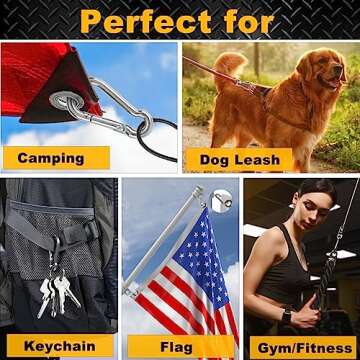 Durable 8 Pcs Small Carabiner Clips - Stainless Steel Hooks