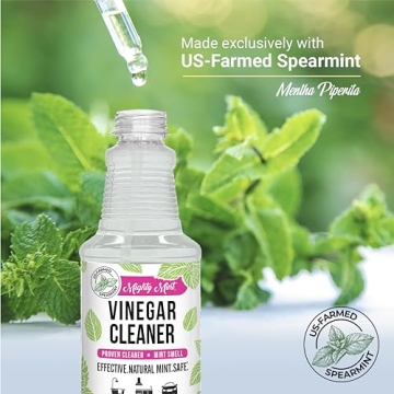 Mighty Mint Cleaning Spray Non-Toxic Eco-Friendly Solution