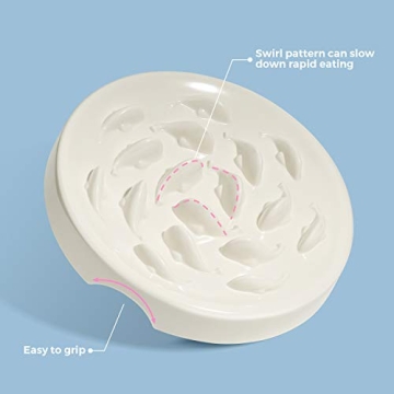 Fish Pool Slow Feeder Bowl for Healthy Cat Eating