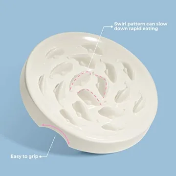 Fish Pool Slow Feeder Bowl for Healthy Cat Eating