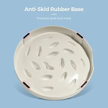 Fish Pool Slow Feeder Bowl for Healthy Cat Eating