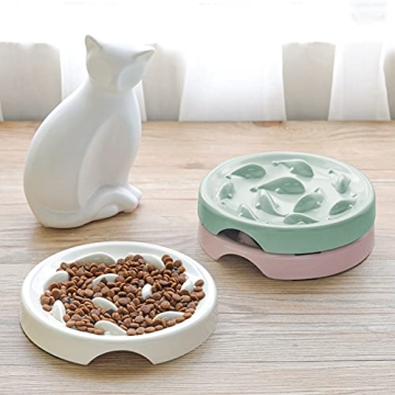 Fish Pool Slow Feeder Bowl for Healthy Cat Eating