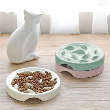 Fish Pool Slow Feeder Bowl for Healthy Cat Eating