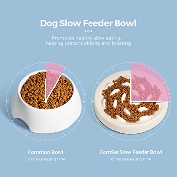 Fish Pool Slow Feeder Bowl for Healthy Cat Eating