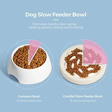 Fish Pool Slow Feeder Bowl for Healthy Cat Eating
