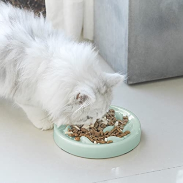 Fish Pool Slow Feeder Bowl for Healthy Cat Eating