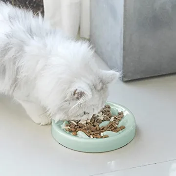 Fish Pool Slow Feeder Bowl for Healthy Cat Eating