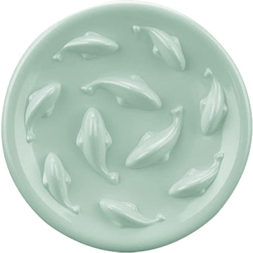 Fish Pool Slow Feeder Bowl for Healthy Cat Eating