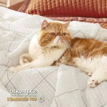 Bedsure Cream Throw Blanket - Cozy Decorative Gift