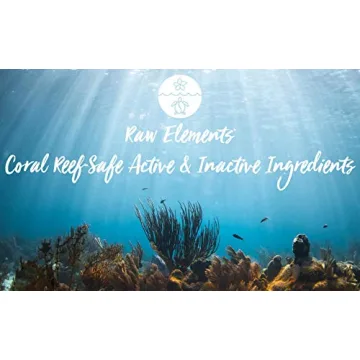 Raw Elements Tinted Moisturizer | SPF 30 All-Natural Sunscreen