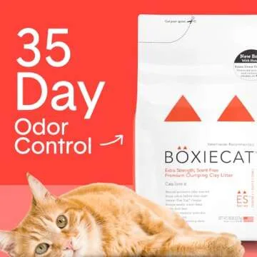 Boxie® Extra Strength 35 Day Natural Odor Control Cat Litter, 28lb Clumping Clay Kitty Litter