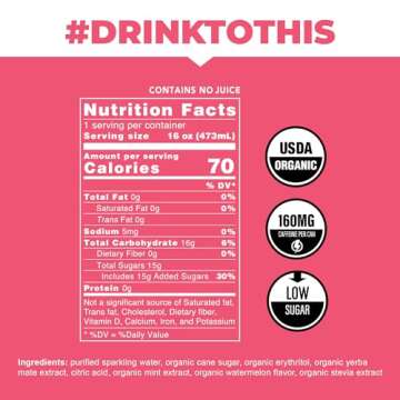 CLEAN Cause Watermelon Mint Sparkling Yerba Mate - Organic