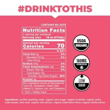 CLEAN Cause Watermelon Mint Sparkling Yerba Mate - Organic