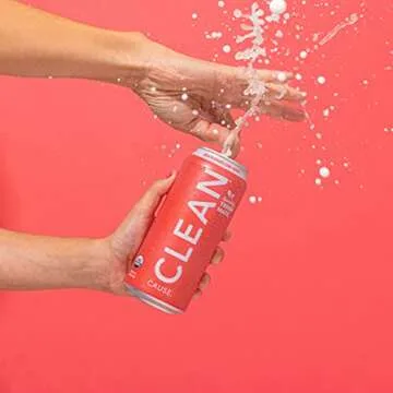 CLEAN Cause Watermelon Mint Sparkling Yerba Mate - Organic