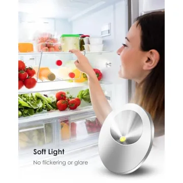 WR55X11132 Refrigerator LED Light & Cover Assembly