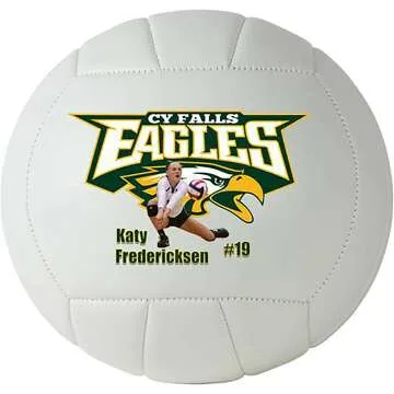 Custom 12 Inch Official Size 5 Volleyball Gift