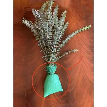 Aromatic Fresh Eucalyptus Shower Stems with Ribbon