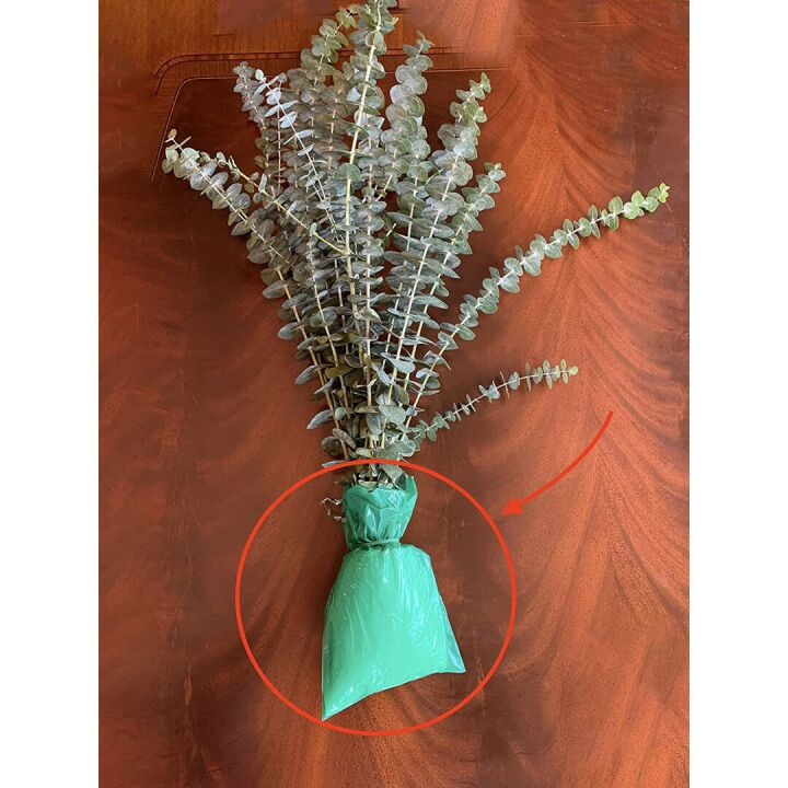 Aromatic Fresh Eucalyptus Shower Stems with Ribbon
