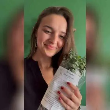 Aromatic Fresh Eucalyptus Shower Stems with Ribbon