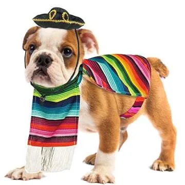 Skeleteen Mexican Serape Dog Costume - Cinco de Mayo Poncho and Sombrero Costumes for Pets (Size S) - Small Breeds