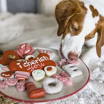 Handmade Dog Treats | WÜFERS Dog Cookie Box | Nutritious & Tasty