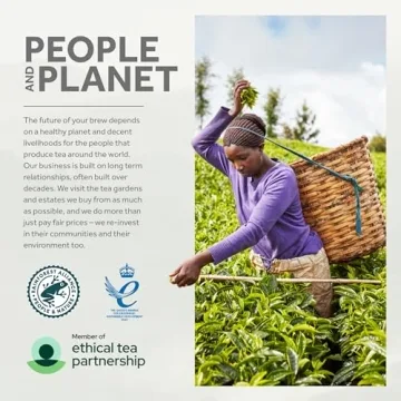 Taylors of Harrogate Yorkshire Gold Tea, 160 Count Pack