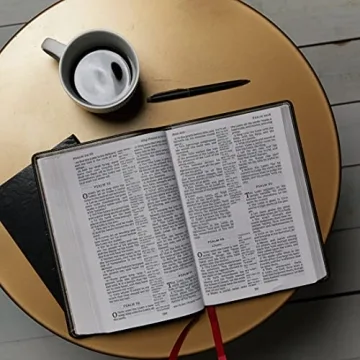KJV Holy Bible Giant Print Cross References Goatskin Leather