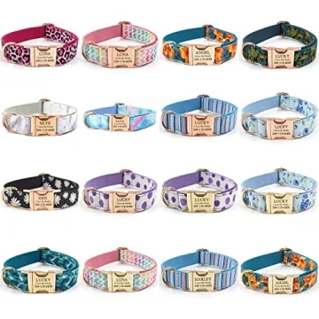 PETDURO Personalized Dog Collar Pink Heart Shaped Print with Name & Phone Engraved on Rose Gold Meta...