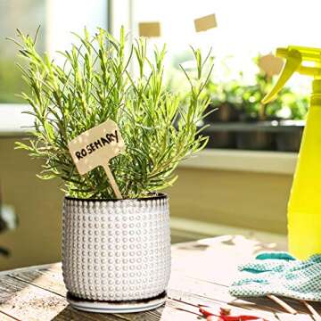 D'vine Dev 6 Inch Ceramic Beaded Stoneware Planter Pot - Flower Pot with Drainage Holes and Saucers for Indoor Succulent Plants or Flowers, Smoked White, 27-C-X-1