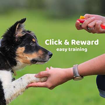 Downtown Pet Supply - Dog Clicker or Cat Training Clicker - Horse, Cat & Dog Training Clickers - with Wrist Strap & Big Button - Nice, Loud Click - 2 Pack