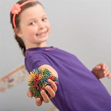 FENDIDI Koosh Balls - Colorful Sensory Stress Relief Toy