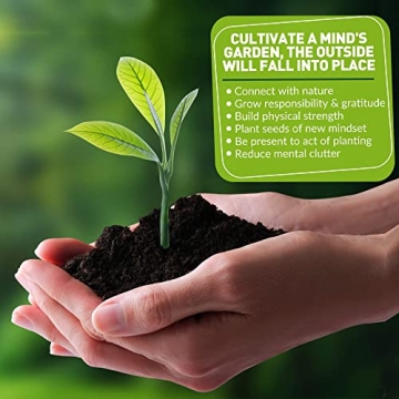 KiiZY Indoor Gardening Tools Set for Plant Lovers - 12 Pieces